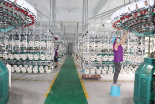 麗富藝集團各生產廠工作動態